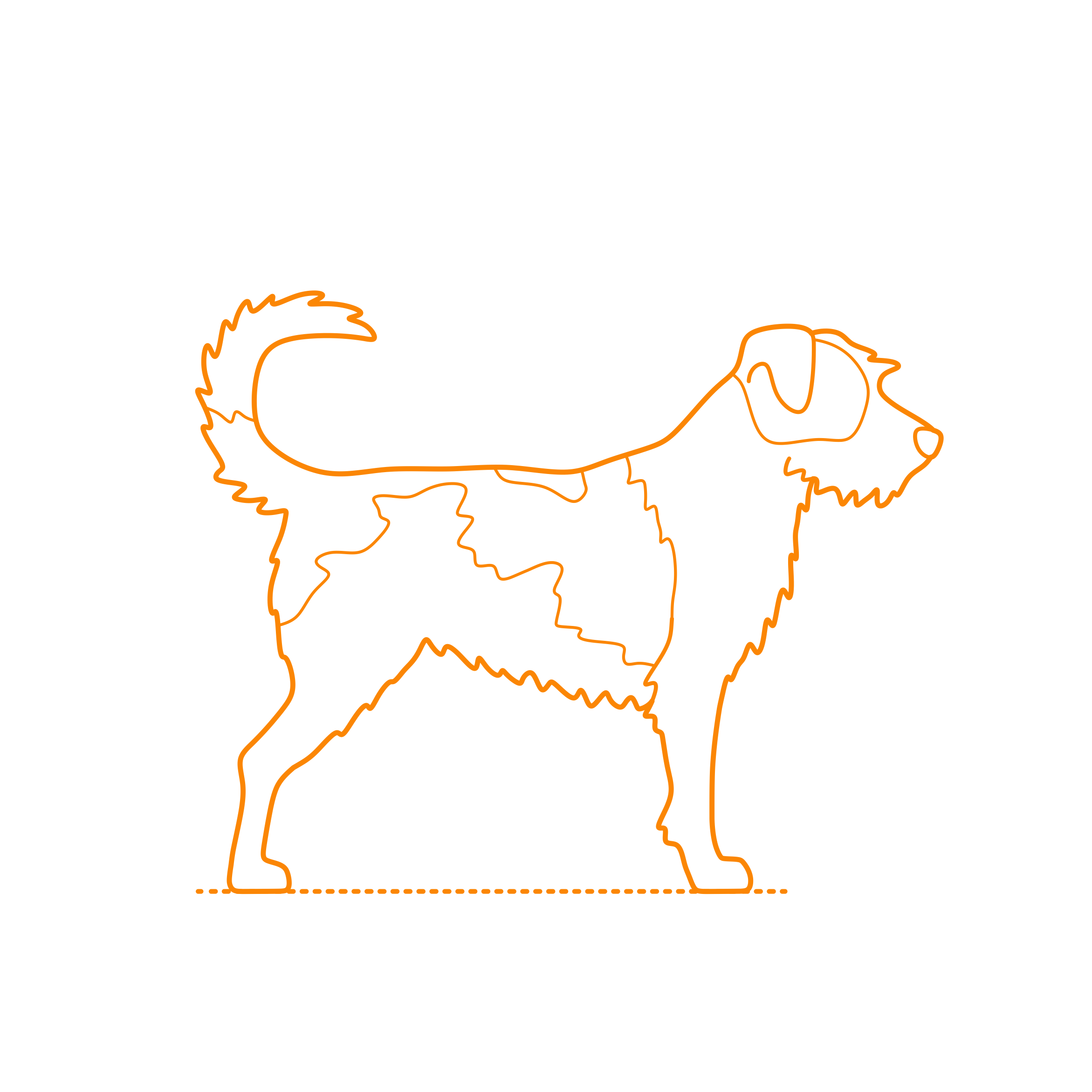 Animals Dogs Kromfohrlander Engraving Svg Design Free Vectors